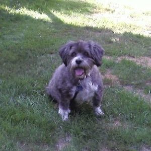 Meet your Posher, Sharon